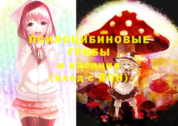 бошки Гусь-Хрустальный