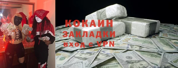 альфа пвп Гусев