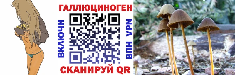 Галлюциногенные грибы мицелий Дятьково